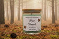 Pine Forrest image 0