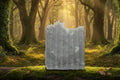 Royal Grove(Jasmine Orange Bergamot) image 0