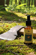 The Woodsman image 0