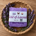 Field of Lavender